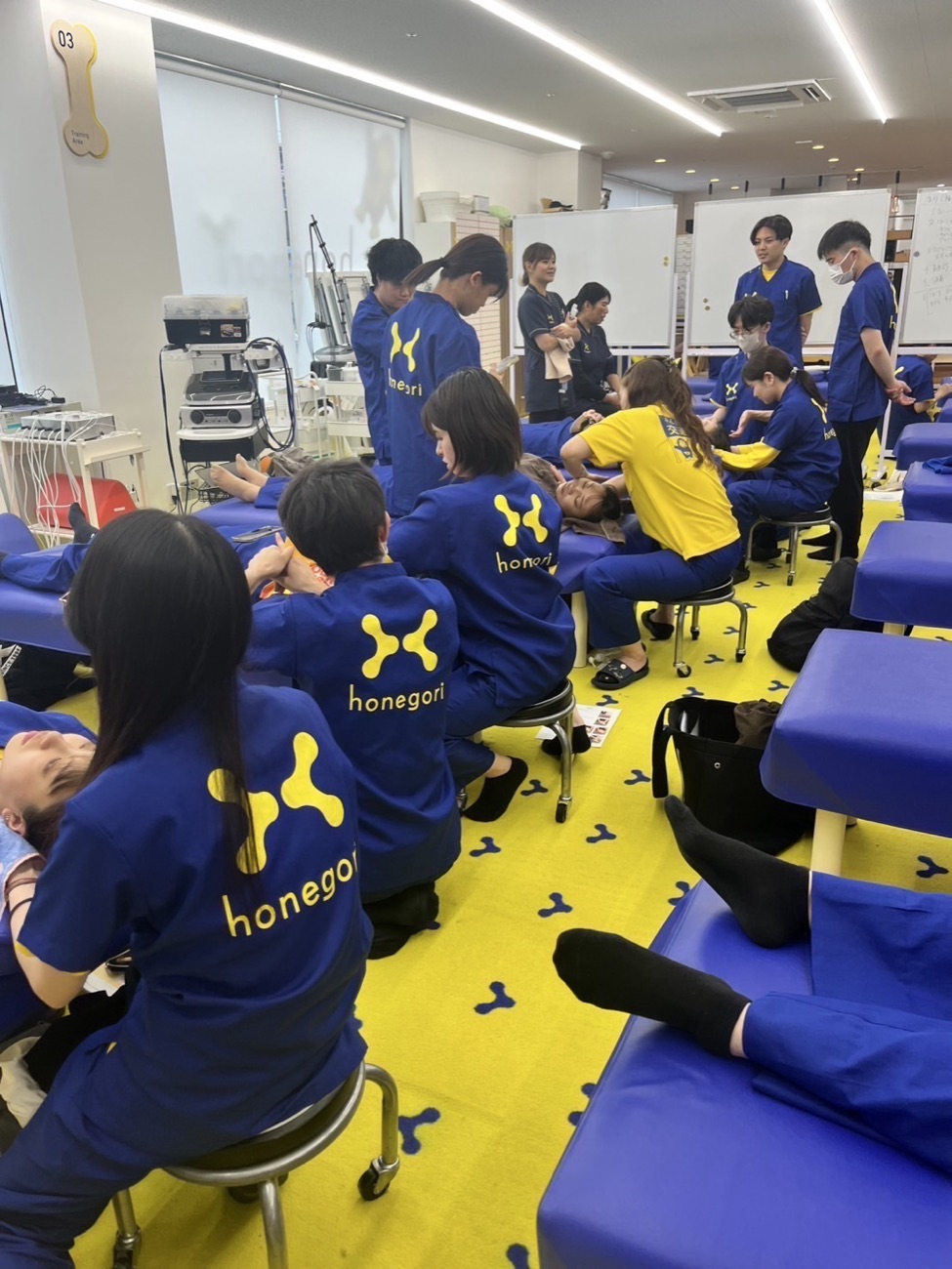 ほねごり整骨院グループ様 技術研修
